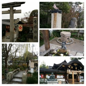 PhotoGrid_1453169588489